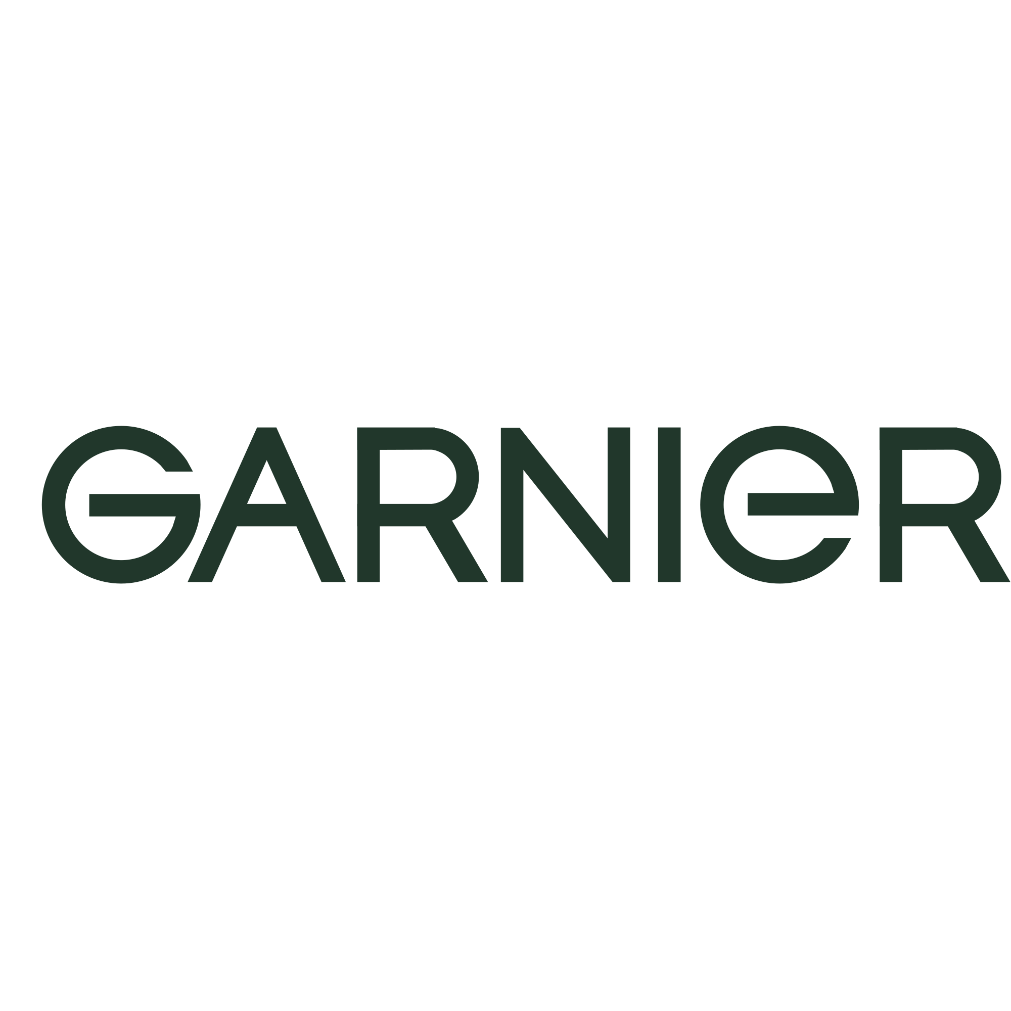 garnier wordmark png transparent background